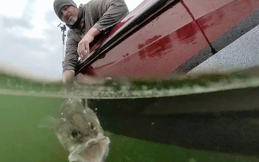 Man pulling fish from water.