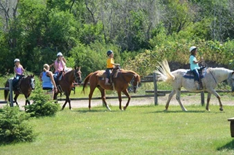 Horseback riding through the park